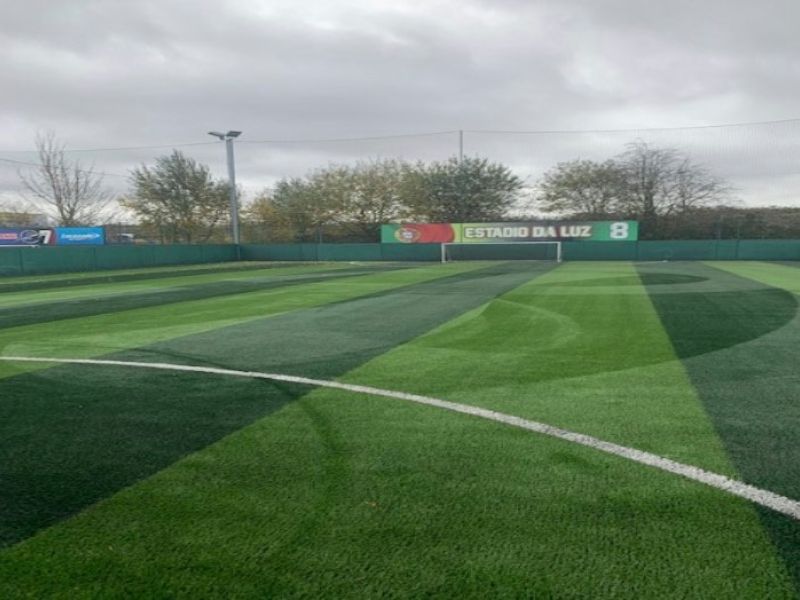 lift and relay on artificial pitches for GOALS